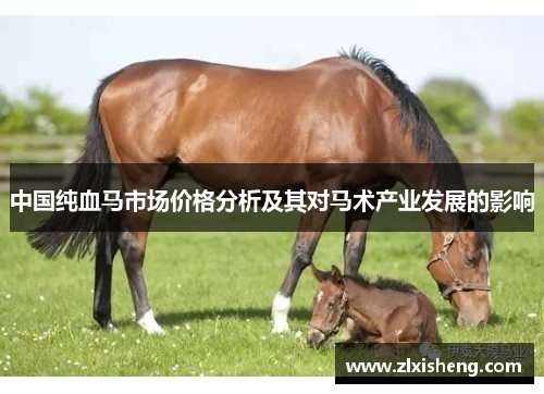 中国纯血马市场价格分析及其对马术产业发展的影响