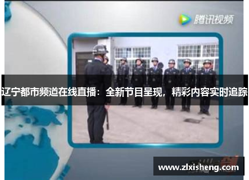 辽宁都市频道在线直播：全新节目呈现，精彩内容实时追踪