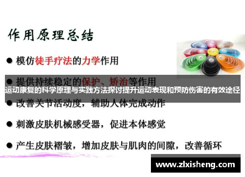 运动康复的科学原理与实践方法探讨提升运动表现和预防伤害的有效途径