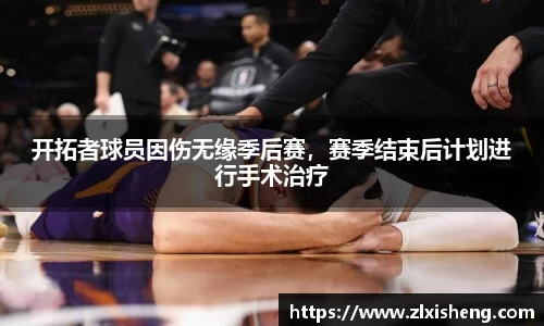 im电竞官方网址