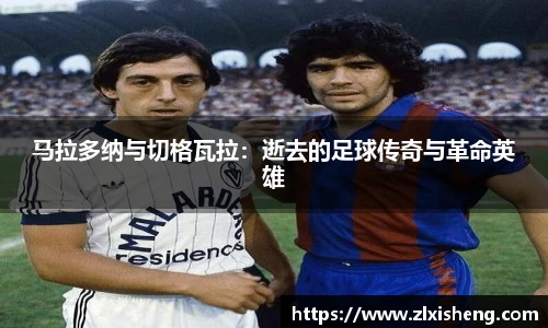 马拉多纳与切格瓦拉：逝去的足球传奇与革命英雄